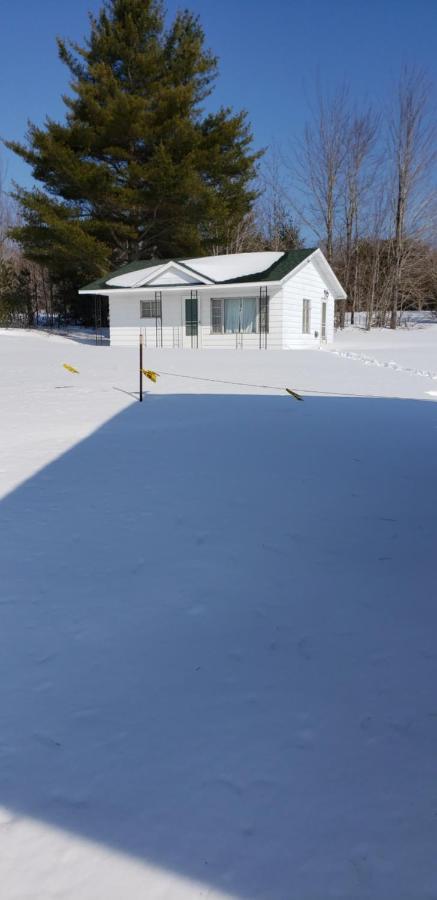 Chapel Hill Motel Brevort Exteriér fotografie